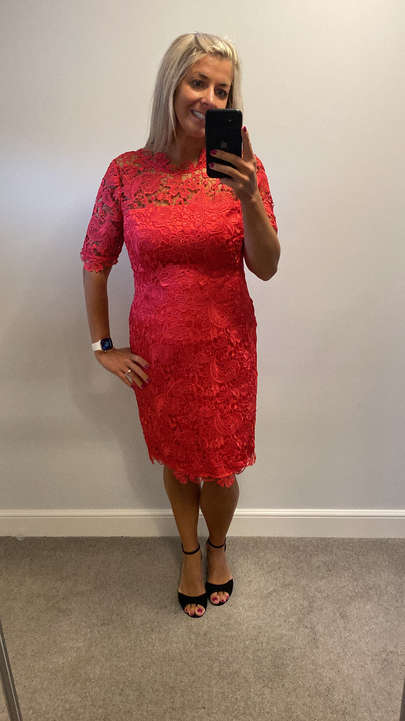 Kaleidoscope deep pink lace dress brand new with tags size 14