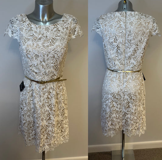 “White House / black market” cream lace dress size 10 brand new with tags RRP $230
