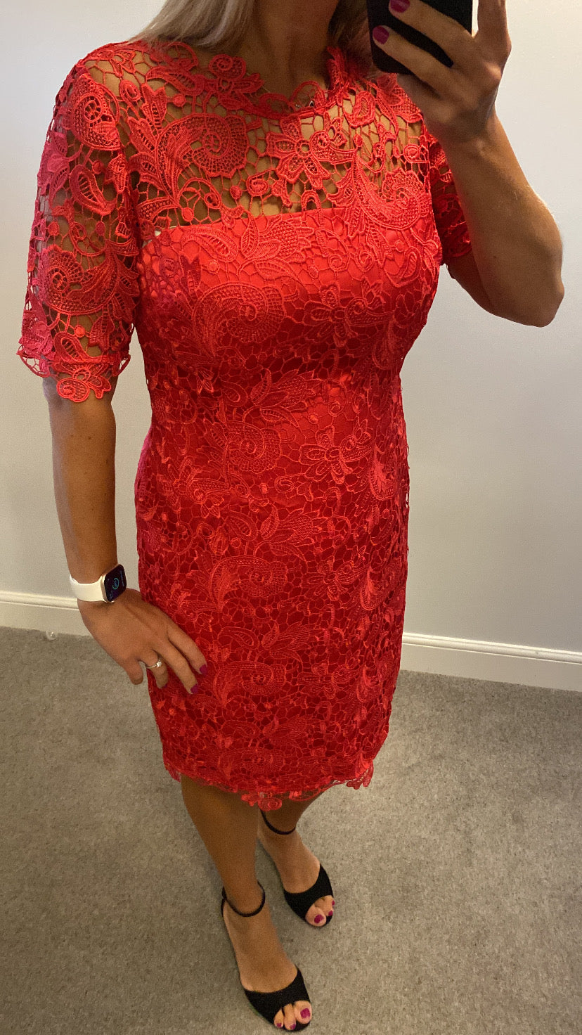 Kaleidoscope deep pink lace dress brand new with tags size 14