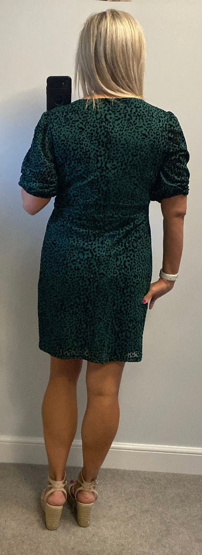 Lenki green print dress size 14 brand new with tags